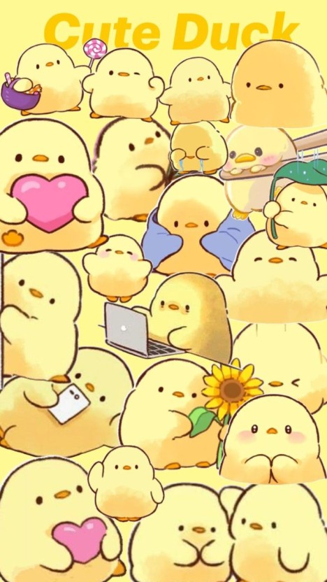 adorable duck wallpaper for desktops