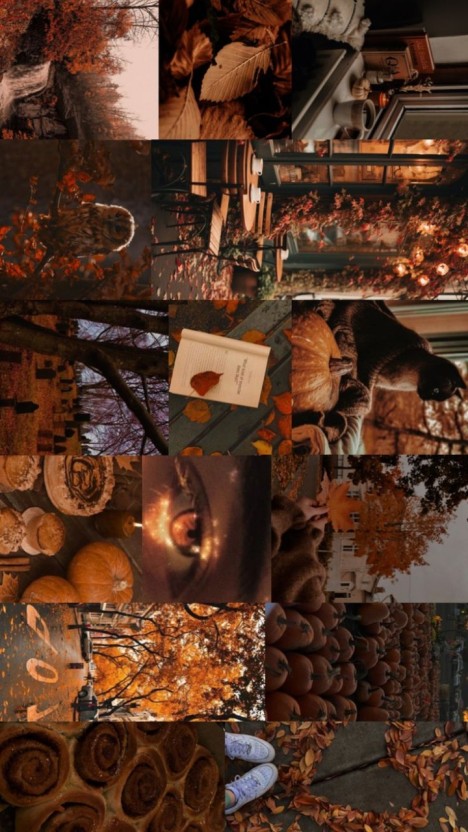 autumn fall screensaver images