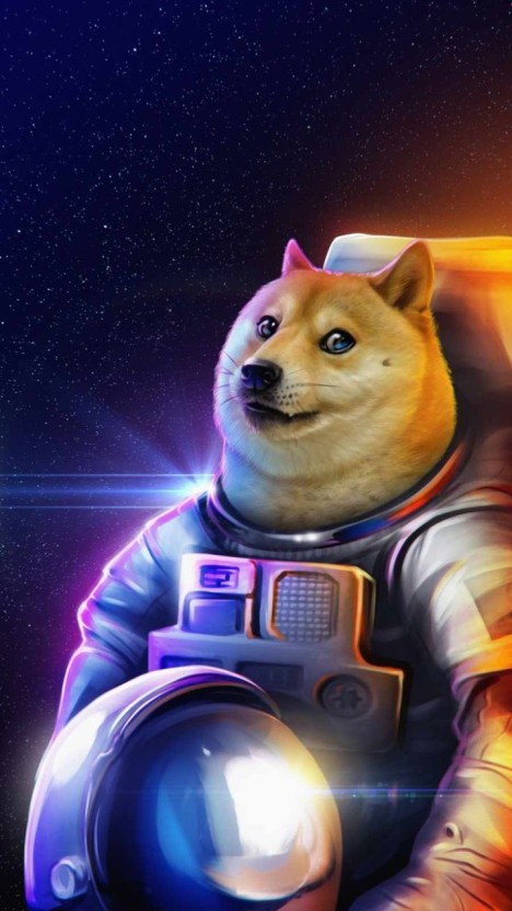 best doge wallpaper for desktops