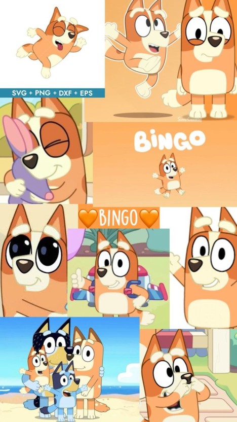 bingo wallpaper 0054