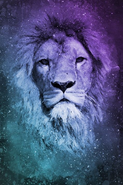 captivating galaxy lion wallpaper possibilities