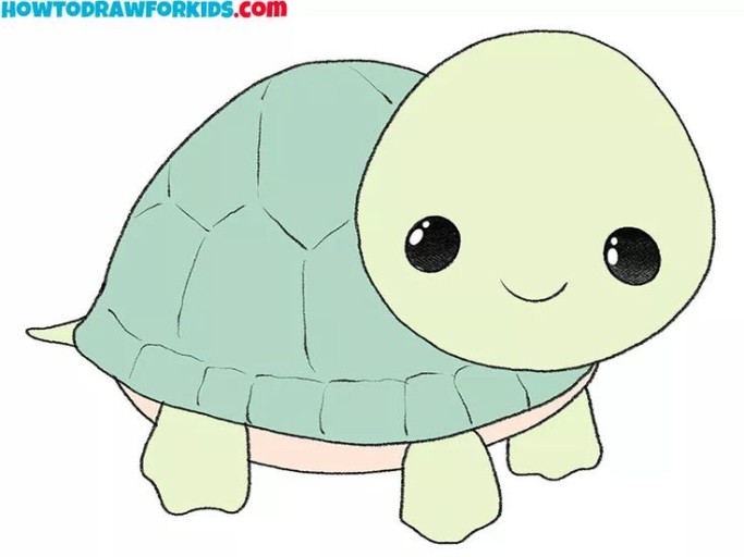 cartoon turtle wallpaper for kids