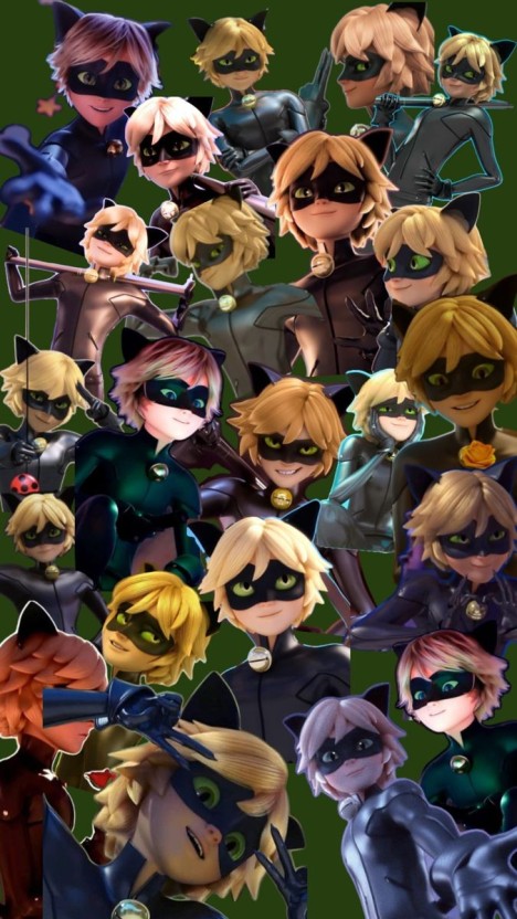 cat noir wallpaper designs