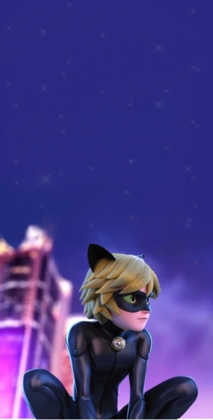 cat noir wallpaper 0023