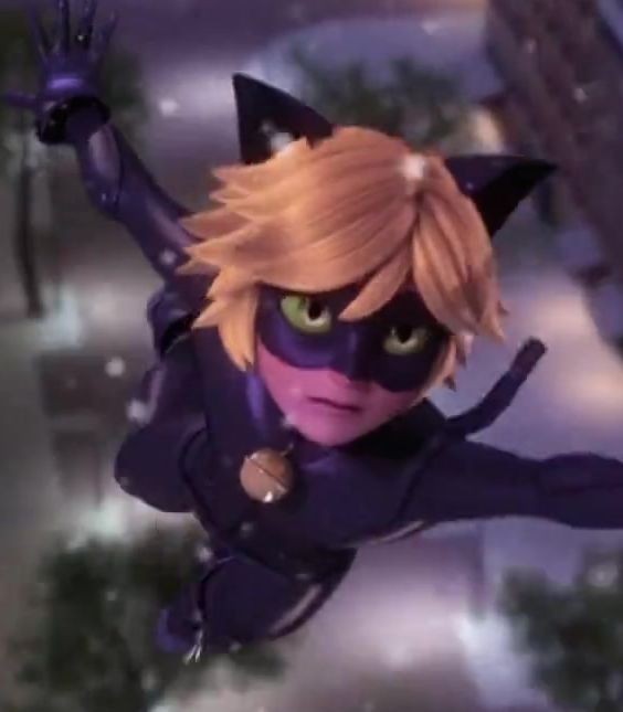 cat noir wallpaper 0029