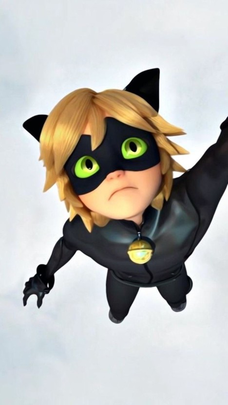 cat noir wallpaper 0040