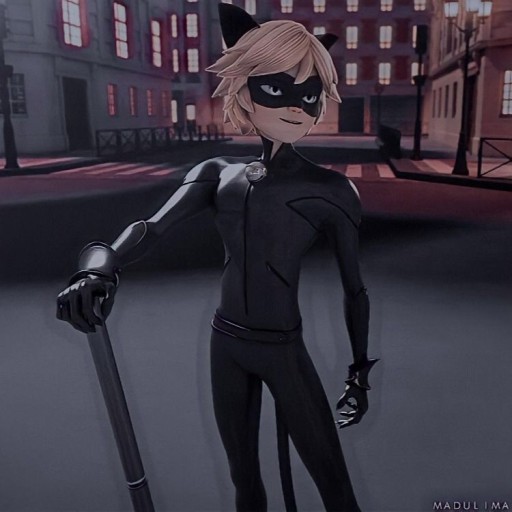 cat noir wallpaper 0041