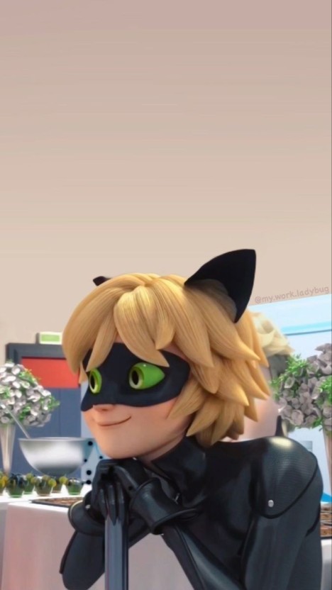 cat noir wallpaper 0042