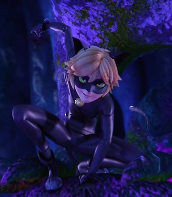 cat noir wallpaper 0043