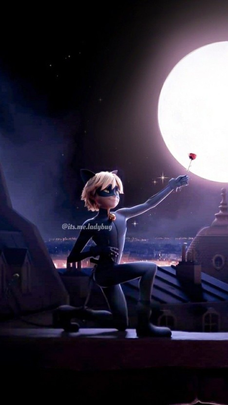 cat noir wallpaper 0047