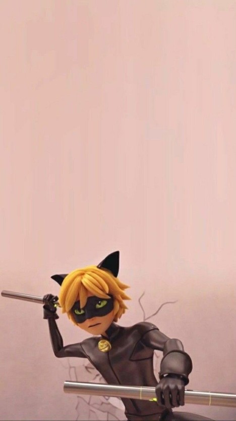 cat noir wallpaper 0051