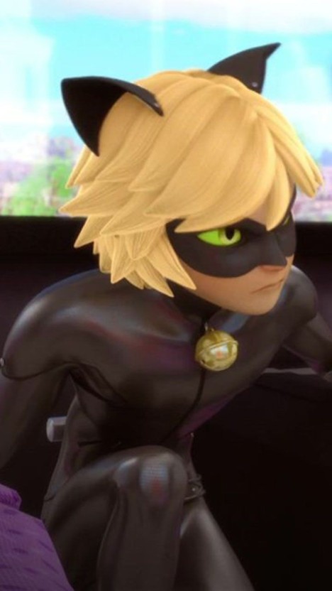 cat noir wallpaper 0055