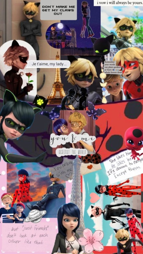 cat noir wallpaper 0057