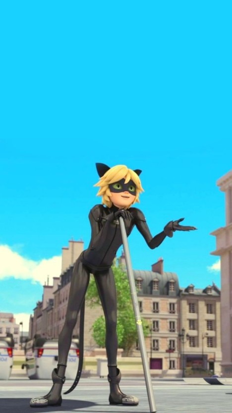 cat noir wallpaper 0067