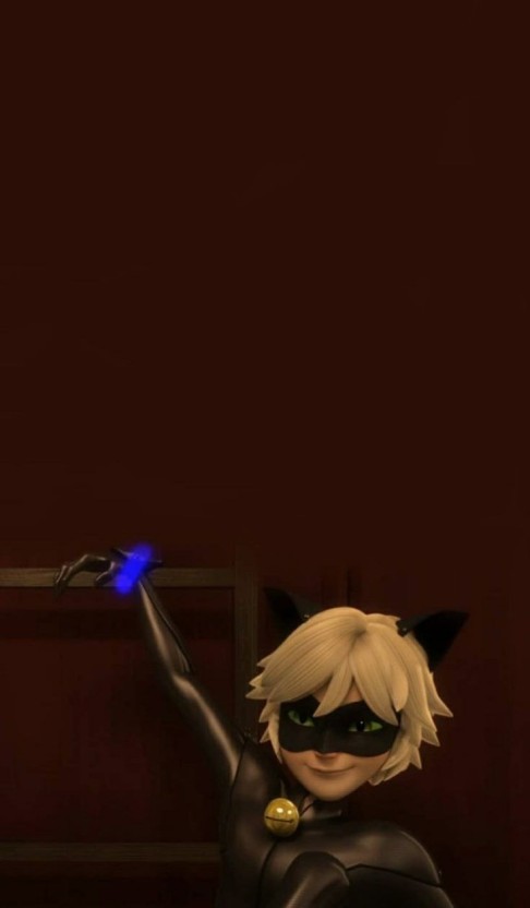 cat noir wallpaper 0072