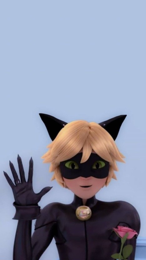 cat noir wallpaper 0077