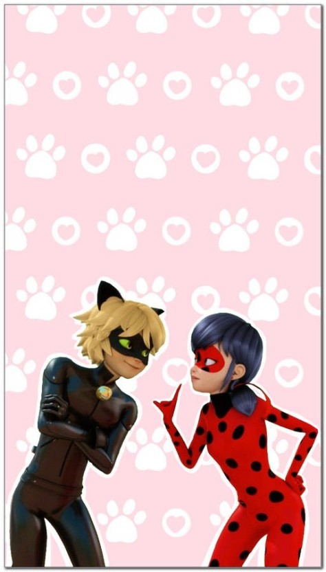 cat noir wallpaper 0081