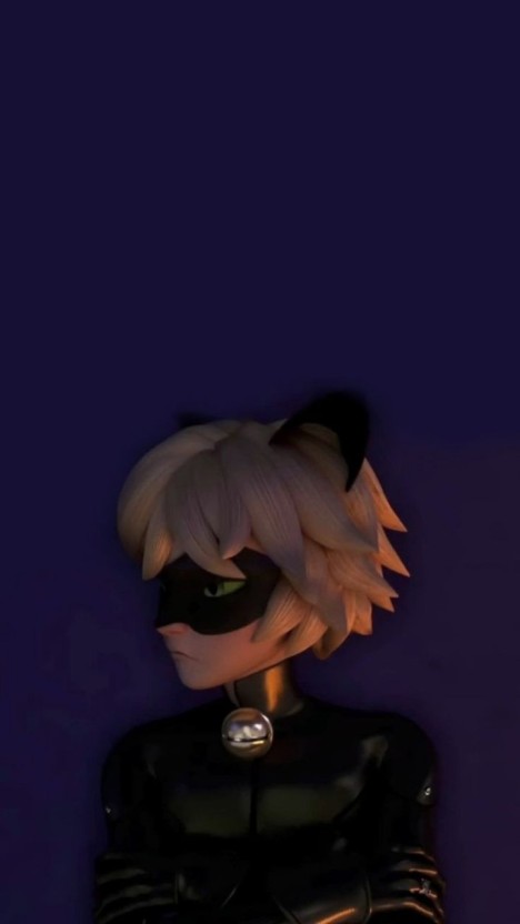 cat noir wallpaper 0083