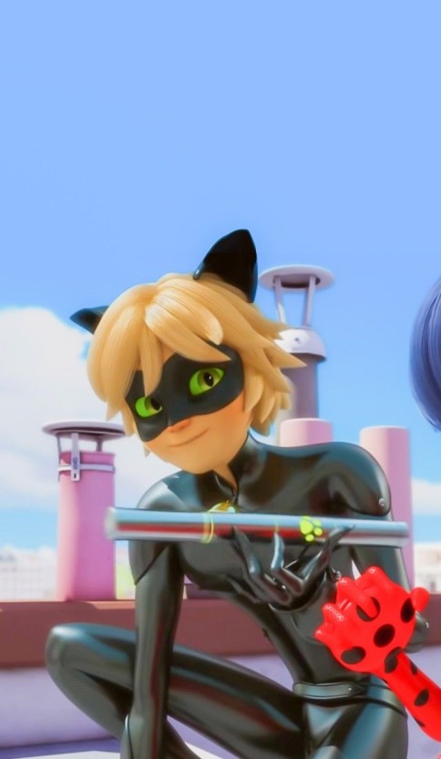 cat noir wallpaper 0089