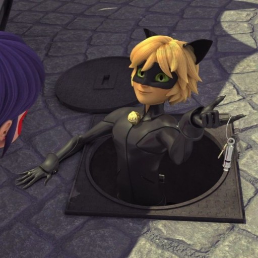 cat noir wallpaper 0096