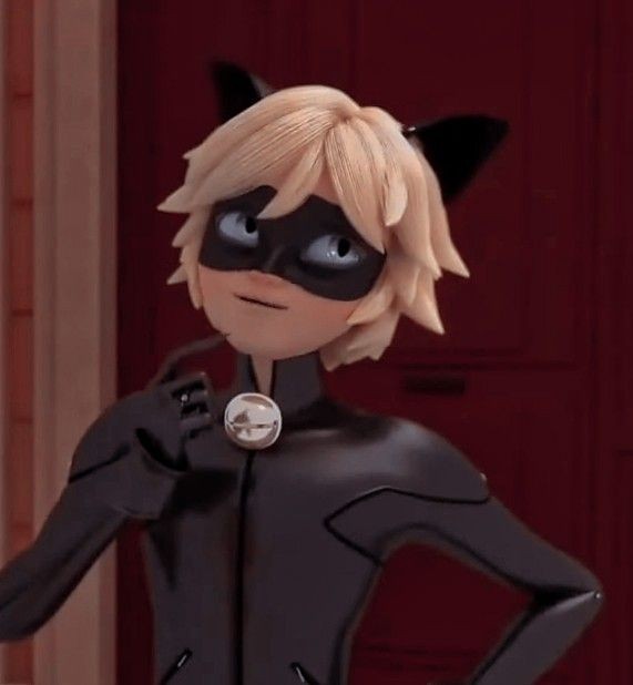 cat noir wallpaper 0099