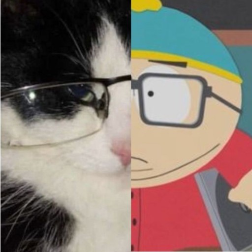 cat with glasses pfp 0020