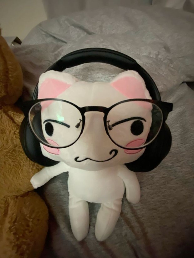 cat with glasses pfp 0067