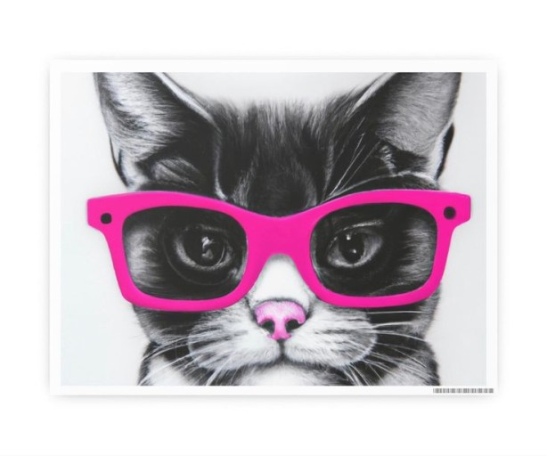 cat with glasses pfp 0095