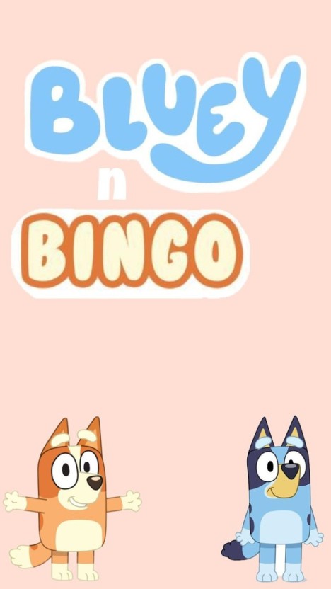 colorful funny bingo wallpapers