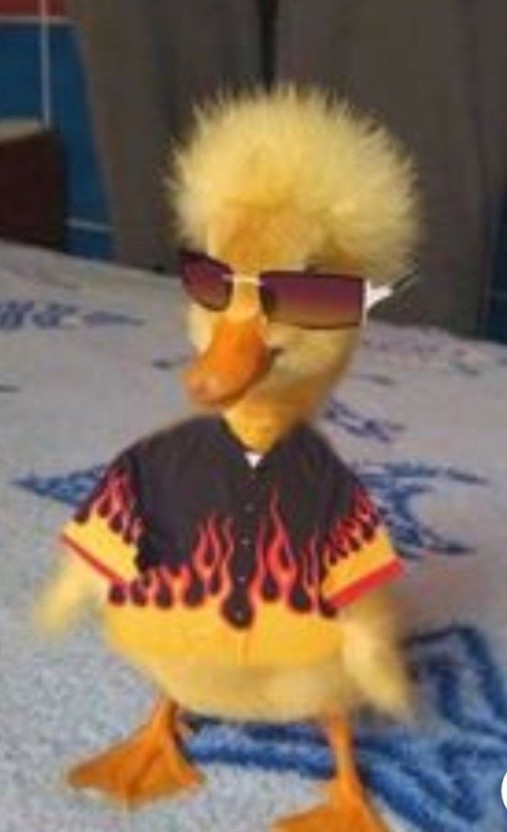 cool duck pfp for gamers