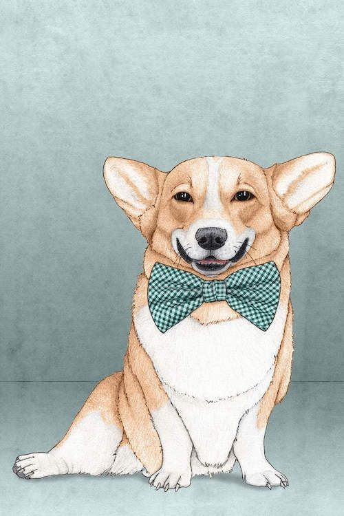 corgi wallpaper designs