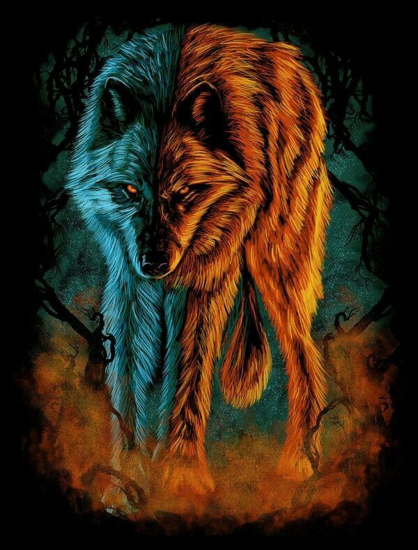 creative epic fire wolf wallpaper themes