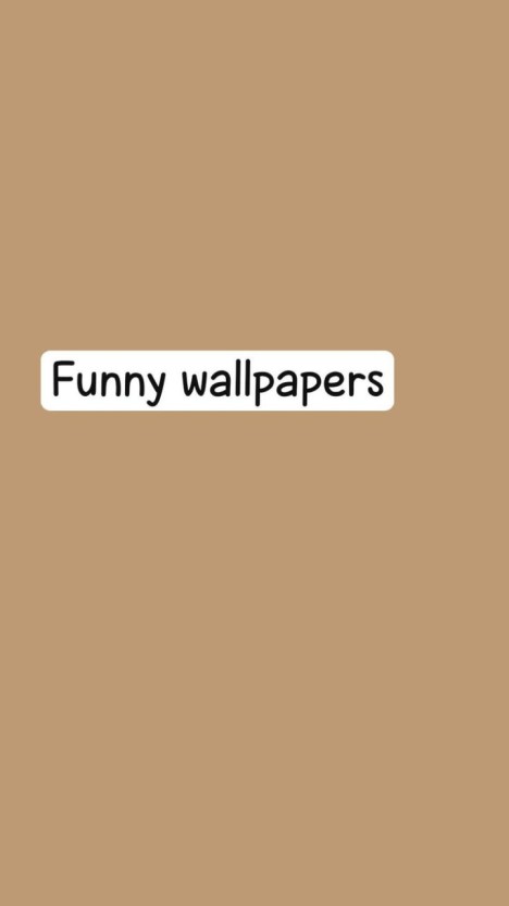 cute and funny wallpapers