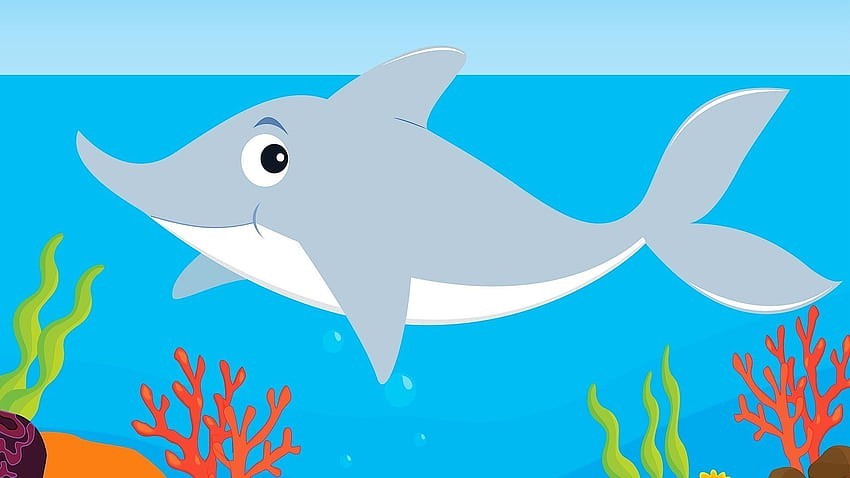 cute baby shark wallpaper ideas