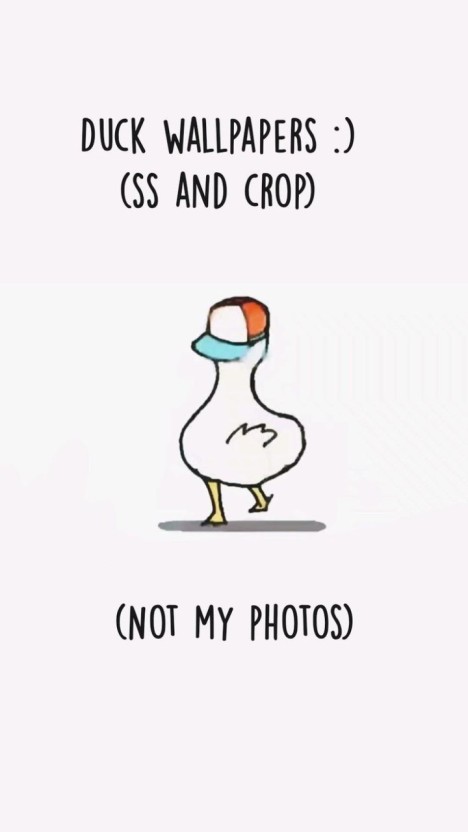 cute duck wallpaper 0047