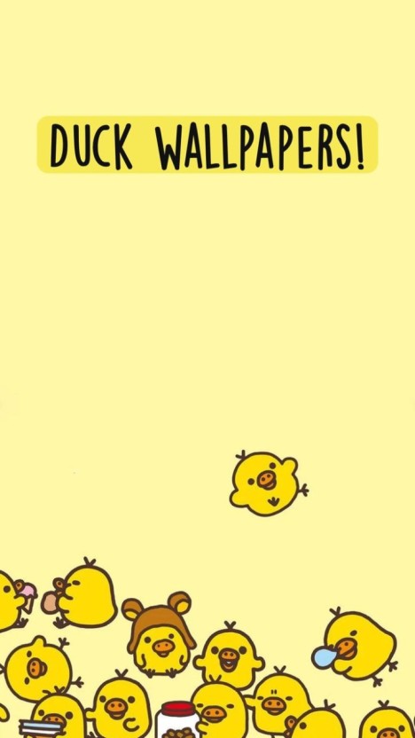 cute duck wallpaper 0049