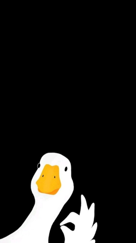 cute duck wallpaper 0050