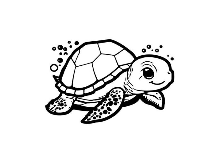 cute turtle wallpaper 0051