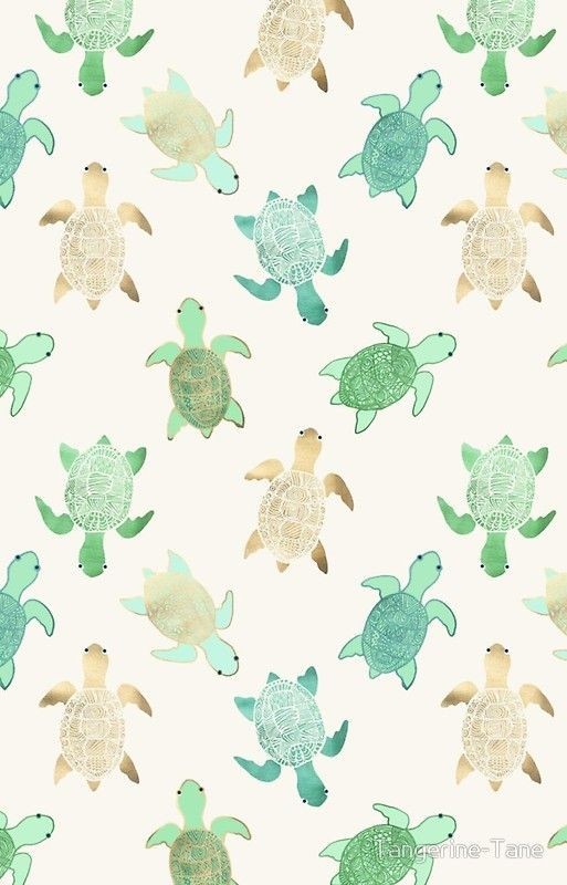 cute turtle wallpaper 0069