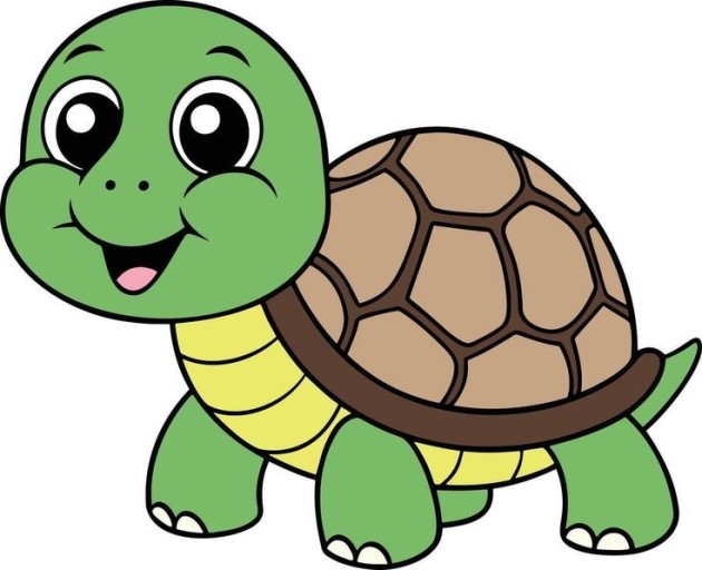 cute turtle wallpaper 0092