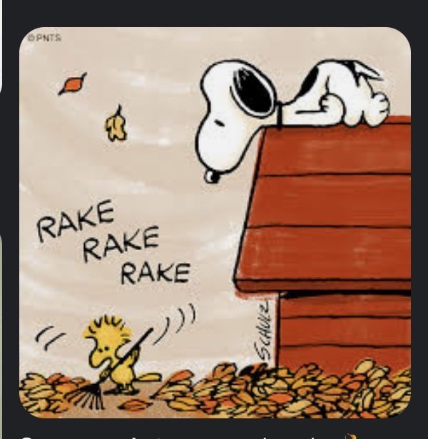 delightful autumn snoopy wallpaper options