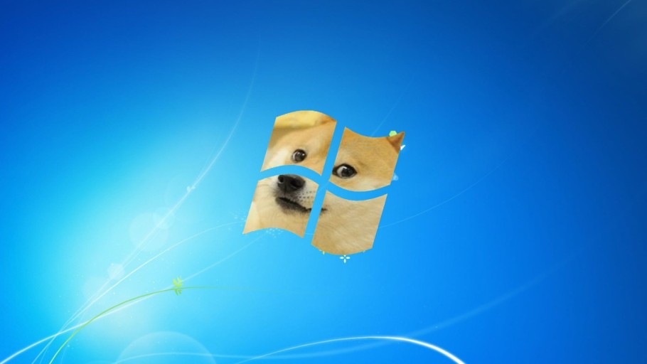 dog meme wallpaper