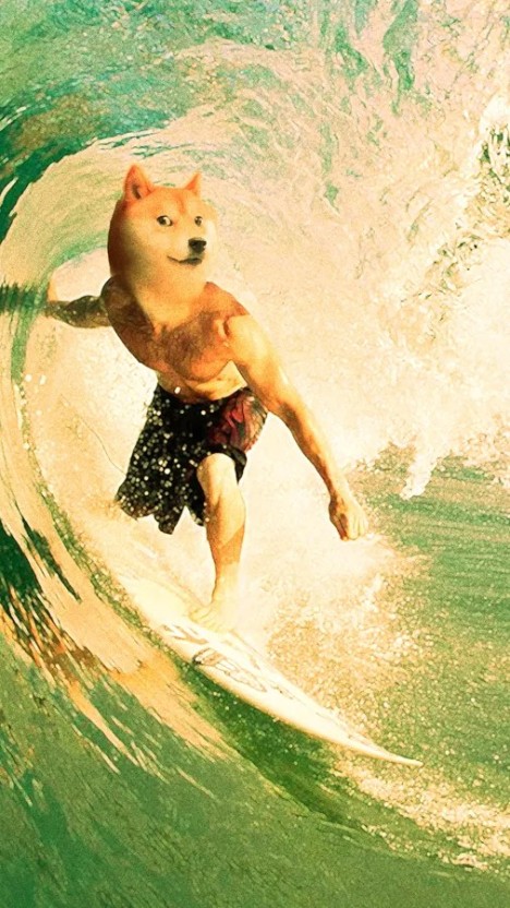 doge wallpaper 0022