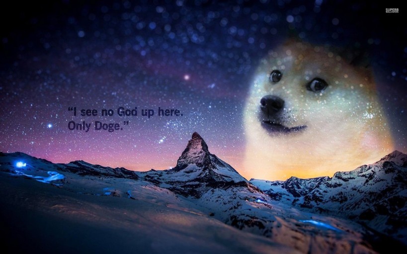 doge wallpaper 0039