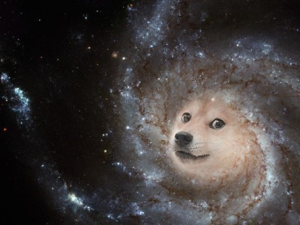 doge wallpaper 0056