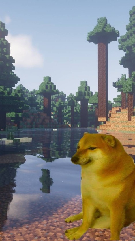 doge wallpaper 0073