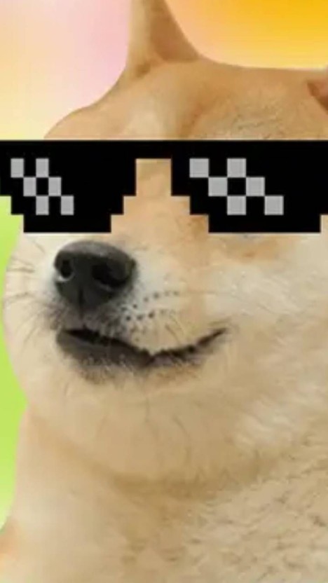 doge wallpaper 0079