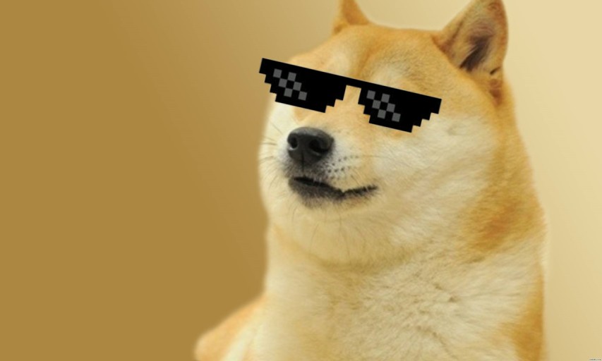 doge wallpaper 0080