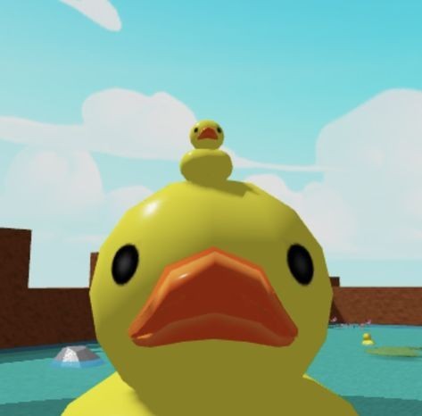 duck pfp 0064