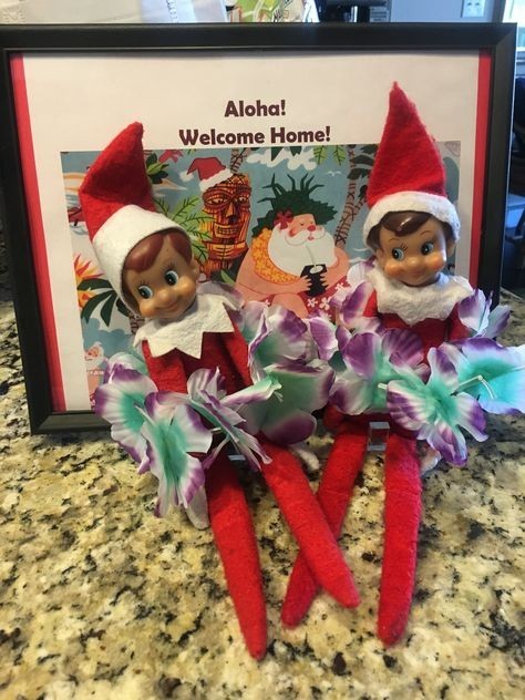 elf on the shelf images 0035